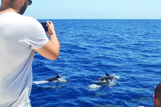 VipDolphins Luxury Whale Watching - Drinks, snacks, and dessert: how the onboard hospitality changes the whole mood