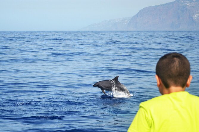 VipDolphins Luxury Whale Watching - Boat comfort on a small catamaran: space, bathrooms, and a calmer feel