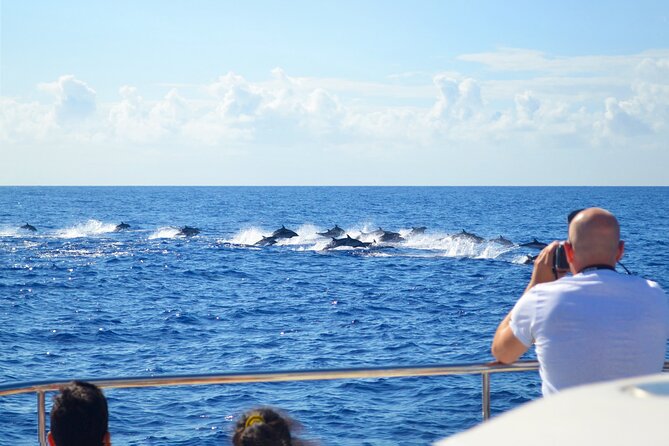 VipDolphins Luxury Whale Watching - Crew attention: how names like Sheila, Liv, Chico, and Nico show up in real service