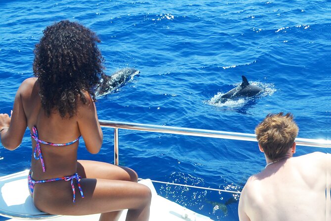 VipDolphins Luxury Whale Watching - Price and value: what $95.53 buys you (and what it does not)