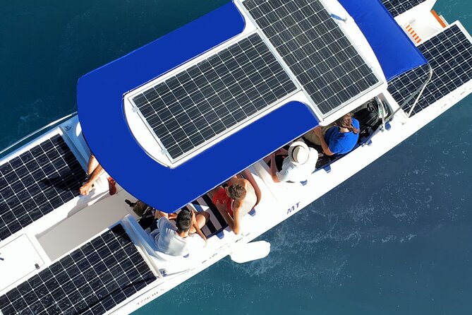 Visit Silves & Explore the Arade River | Eco-Friendly Solar Boat - Wildlife, birds, and the value of staying quiet on purpose