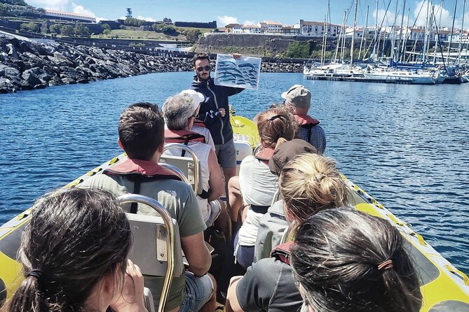 Watching whales and dolphins on Terceira Island - Meeting at Water4fun and what the first half hour feels like