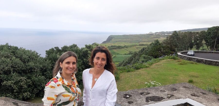 West Coast Van Tour (Half Day) | Terceira Island - The West Zone Drives and Viewpoints: Fast Learning, Real Variety