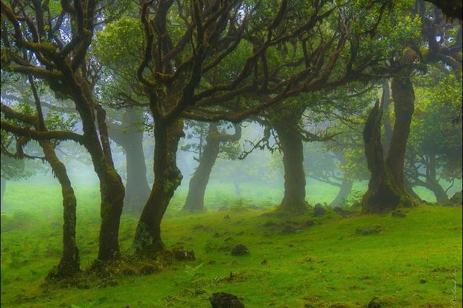 West Madeira 4x4 Tour with Local Guide - Through the northwest: Seixal to São Vicente and the Póça das Lesmas stop