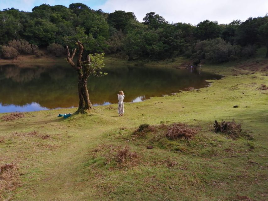 West Madeira:, Laurel Forest, Waterfall, Rock Pools, Walk - The West Madeira route, packed but well-paced for day-trippers