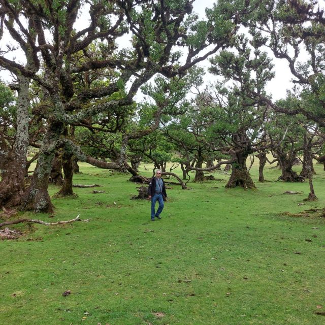 West Madeira:, Laurel Forest, Waterfall, Rock Pools, Walk - Seixal and Véu da Noiva: the Bride’s Veil viewpoint for easy waterfall drama