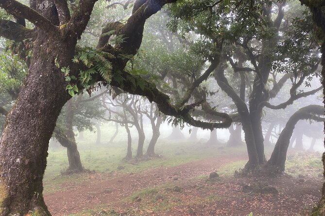 West Side Private Full Day Tours around Madeira Island - Seixal scenic roads and a practical timing trick