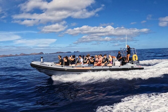 Whale and Dolphin Watching Tour from Funchal - Wildlife Spotting Time: What You Might See (and Why Duration Matters)
