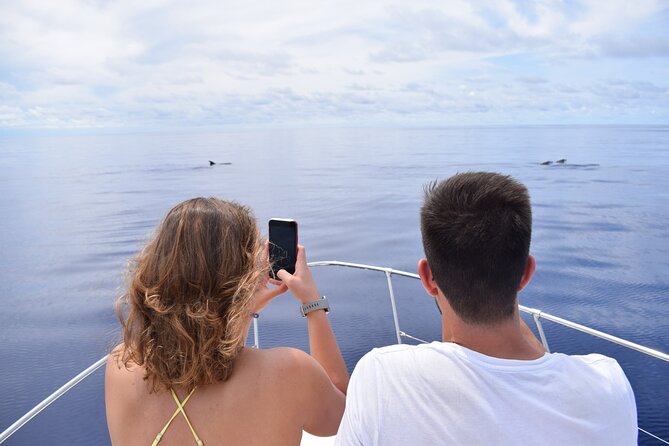 Whale and Dolphin Watching Tour in Madeira - The 2.5-Hour Yacht Cruise: Calm Water, Good Sightlines, Real Time on the Coast