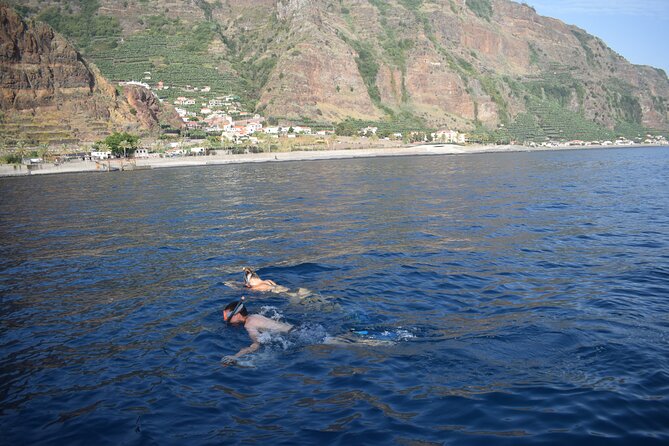 Whale and Dolphin Watching Tour in Madeira - Sunset Departures: Snorkeling and Sparkling Wine, No Whale Watching