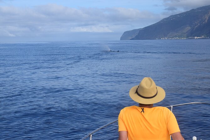 Whale and Dolphin Watching Tour in Madeira - Comfort and Communication: The Stuff That Makes People Smile