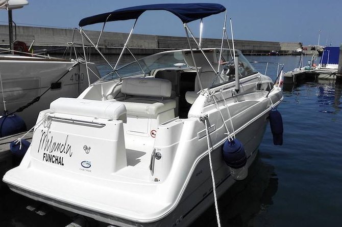 Whale and Dolphin Watching Tour in Madeira - Snorkeling and Swimming on the South-West Coast (Gear, Towels, Shower)