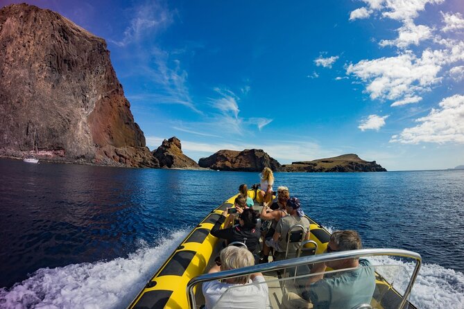 Whale & Dolphin Watching in Madeira - The big question: do you ever get to swim?
