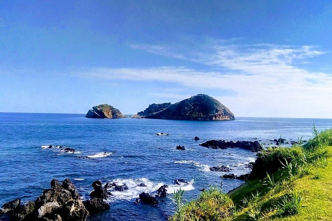 Whale Watching Tour + Vila Franca Islet: Full-day with lunch - When the sea turns rough: small-boat reality check (and how to handle it)