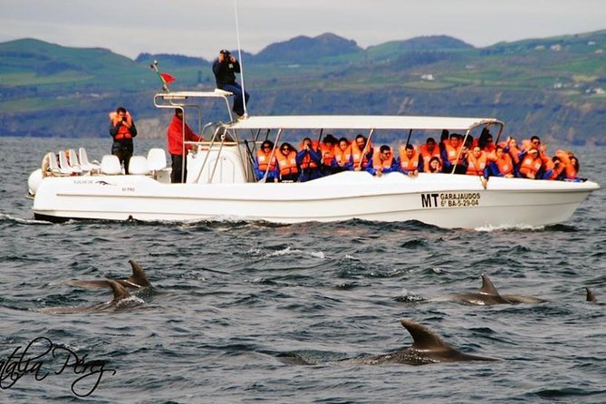 Whale Watching Tour + Vila Franca Islet: Full-day with lunch - Vila Franca do Campo islet: swimming and snorkeling in a crater reserve