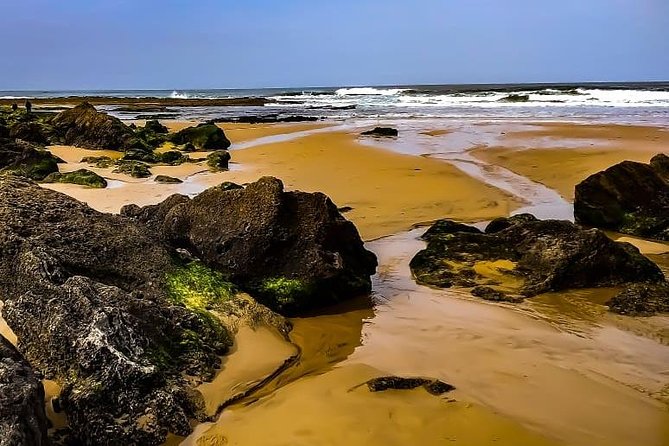 Wild and Wonderful West Coast Full Day Tour - Pacing, photos, and the weather reality on the Atlantic coast