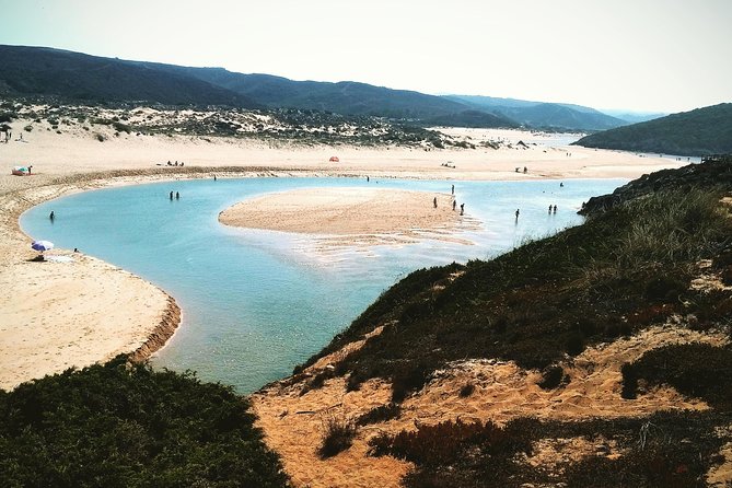 Wild and Wonderful West Coast Full Day Tour - Price and value: what you pay for and what you still handle yourself