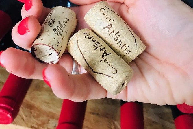 Wine, Cheese & Charcuterie Tasting, including complimentary tour - Your pairing lineup: 5 Azores wines and 6 cheese types