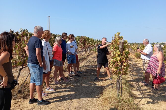 Wine Lovers: Winery Tour w/ Tasting & Tapas (Albufeira/Vilamoura) - Key highlights I’d pencil into your day