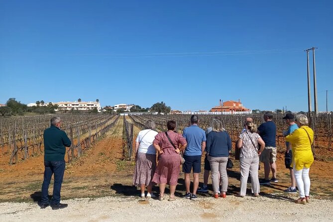 Wine Lovers: Winery Tour w/ Tasting & Tapas (Albufeira/Vilamoura) - The Albufeira viewpoint moments and the off-road scenery