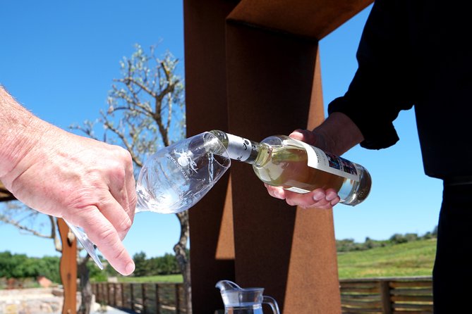 Wine Tasting and Art Tour - Key Highlights Worth Prioritizing