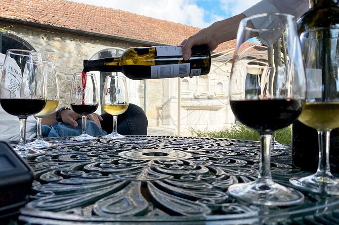 Wine Tasting with Tapas Walking Tour in Porto - What I think works best for different travelers