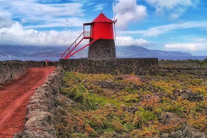 Wine Tour - Starting at Madalena do Pico, Then Letting the Island Lead