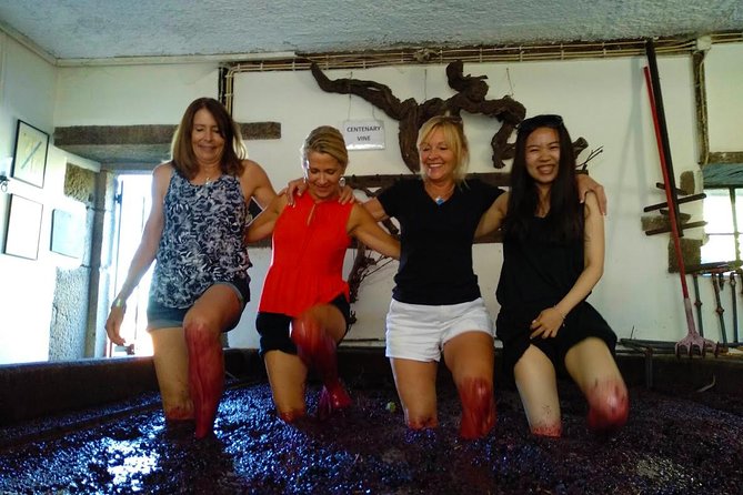 Wine Venture and Boat Trip in Douro Valley from Porto - What you drink, what you eat, and how to plan your tastes