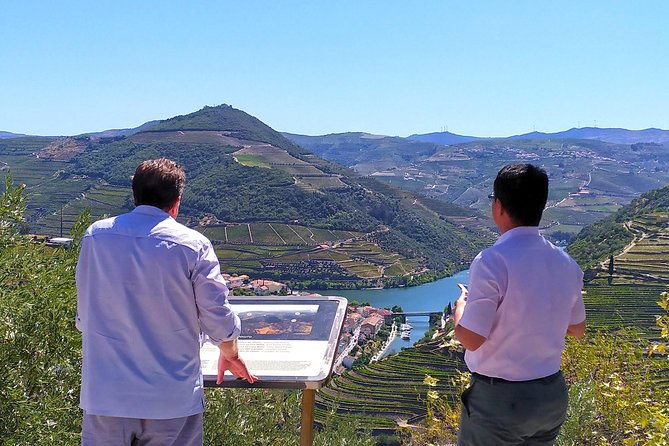 Wine Venture and Boat Trip in Douro Valley from Porto - Price and value: what your $199.53 actually covers