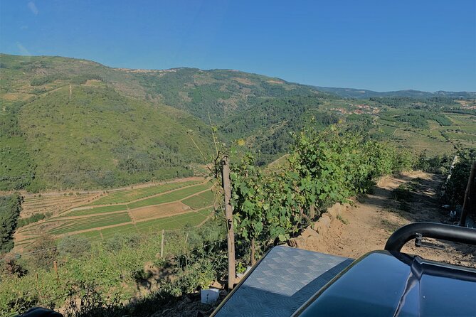 Winery Tour and Wine Tasting Quinta da Portela de Baixo in Lamego - Quinta da Portela de Baixo in Lamego: why this tasting feels local