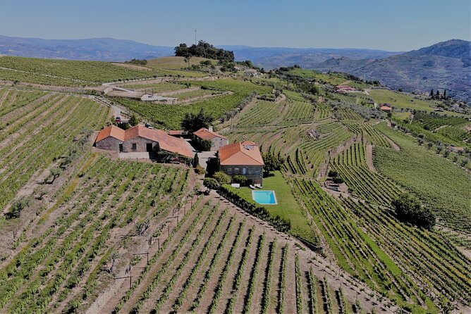 Winery Tour and Wine Tasting Quinta da Portela de Baixo in Lamego - Food pairings that actually change how the wine tastes