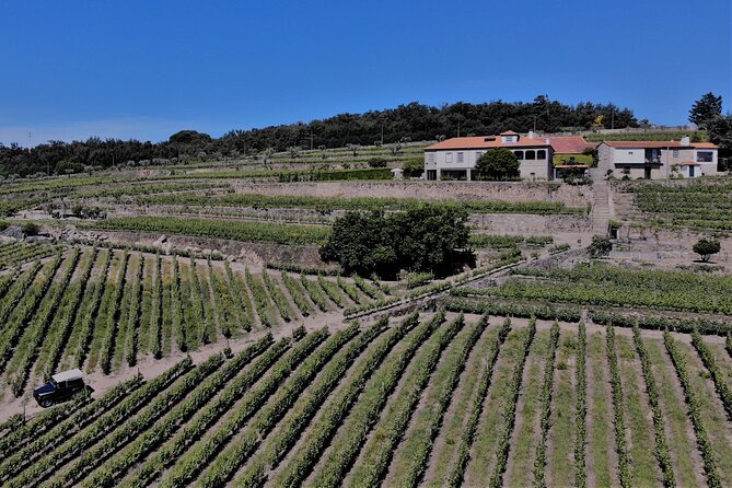 Winery Tour and Wine Tasting Quinta da Portela de Baixo in Lamego - The museum tour: small spaces, big payoff for curious minds